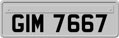 GIM7667