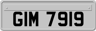GIM7919