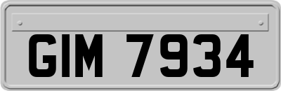 GIM7934