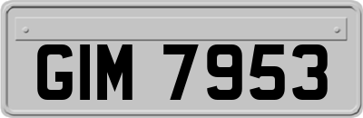 GIM7953