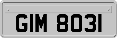GIM8031
