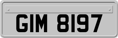 GIM8197