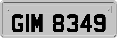GIM8349