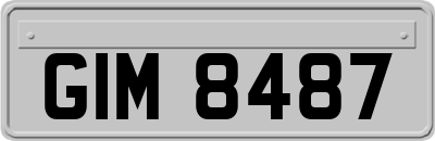 GIM8487