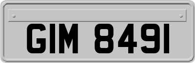 GIM8491