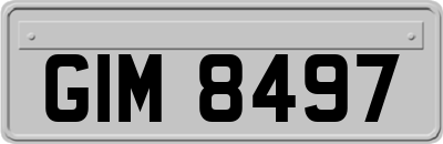 GIM8497