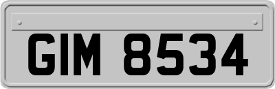 GIM8534