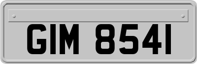 GIM8541