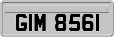 GIM8561