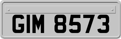 GIM8573