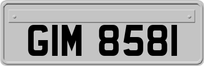 GIM8581