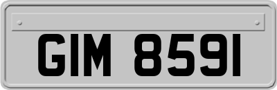 GIM8591