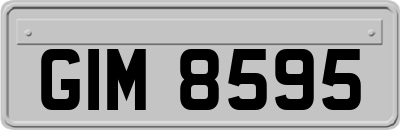 GIM8595