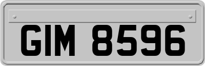 GIM8596