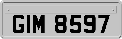 GIM8597