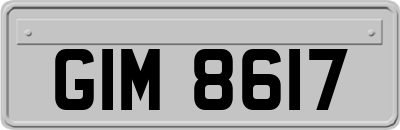 GIM8617