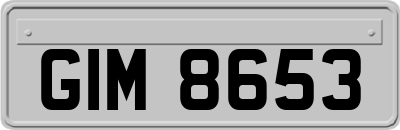 GIM8653