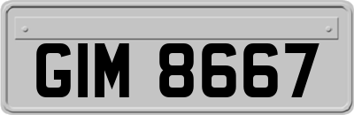 GIM8667