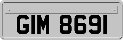 GIM8691