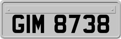 GIM8738