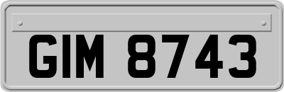 GIM8743