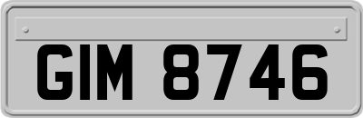 GIM8746