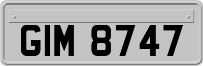 GIM8747