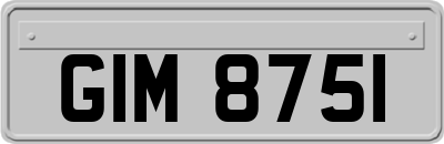 GIM8751