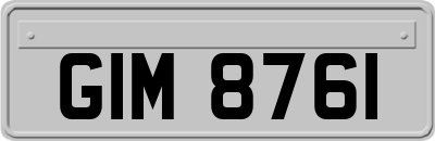 GIM8761