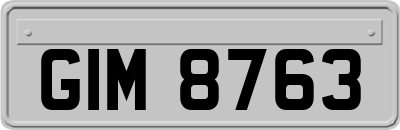 GIM8763