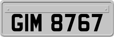 GIM8767