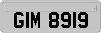GIM8919