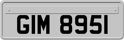 GIM8951