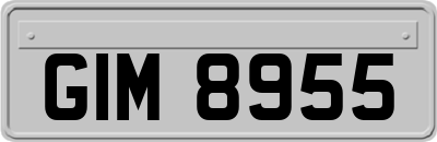 GIM8955