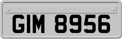 GIM8956