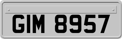 GIM8957