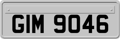 GIM9046