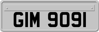 GIM9091