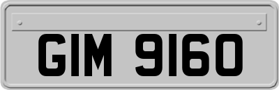 GIM9160