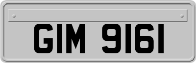 GIM9161