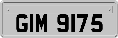 GIM9175