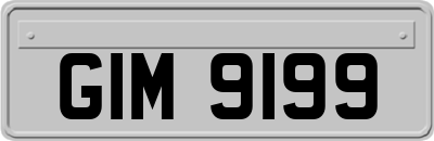 GIM9199