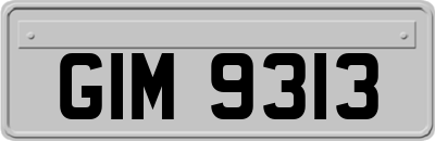 GIM9313