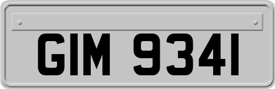 GIM9341