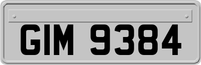 GIM9384