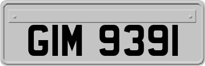 GIM9391