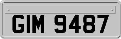 GIM9487
