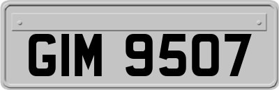 GIM9507