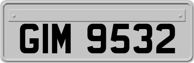 GIM9532