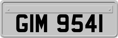 GIM9541